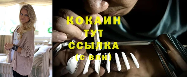 гидропоника Медногорск