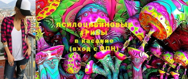гидропоника Медногорск