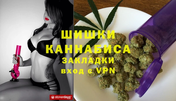 гидропоника Медногорск