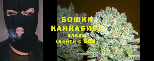 гидропоника Медногорск