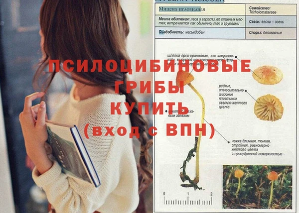 гидропоника Медногорск