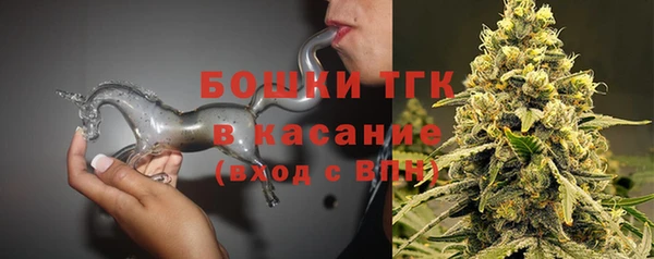 гидропоника Медногорск