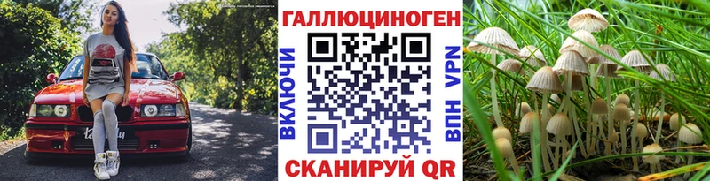 Купить  Иннополис  Псилоцибиновые грибы мицелий 